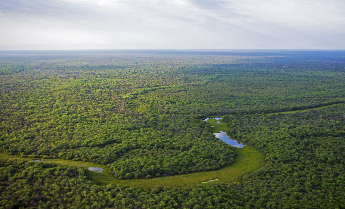 Bosque Chaqueño [Foto: Emiliano Lasalvia / Somos el Cambio]