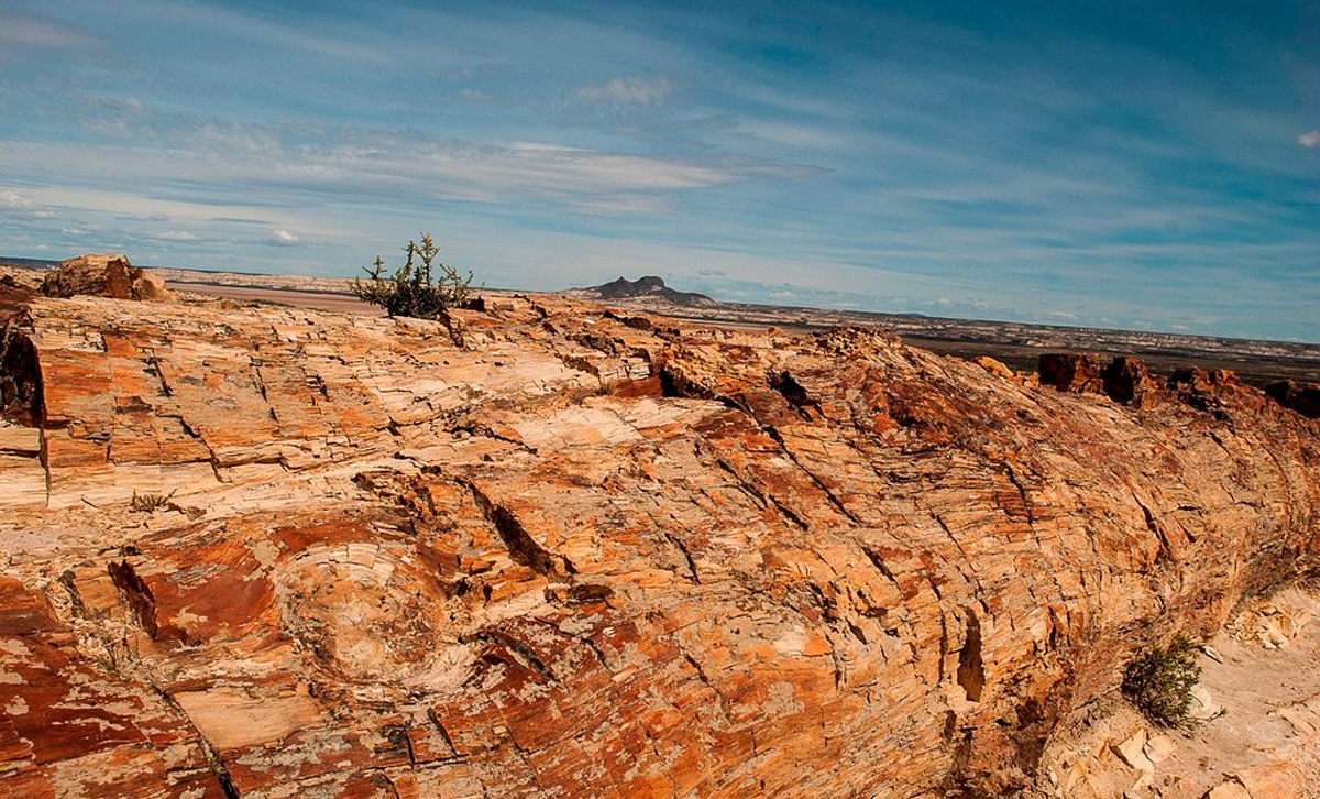 Bosques Petrificados de Jaramillo [Foto: Tripadvisor]