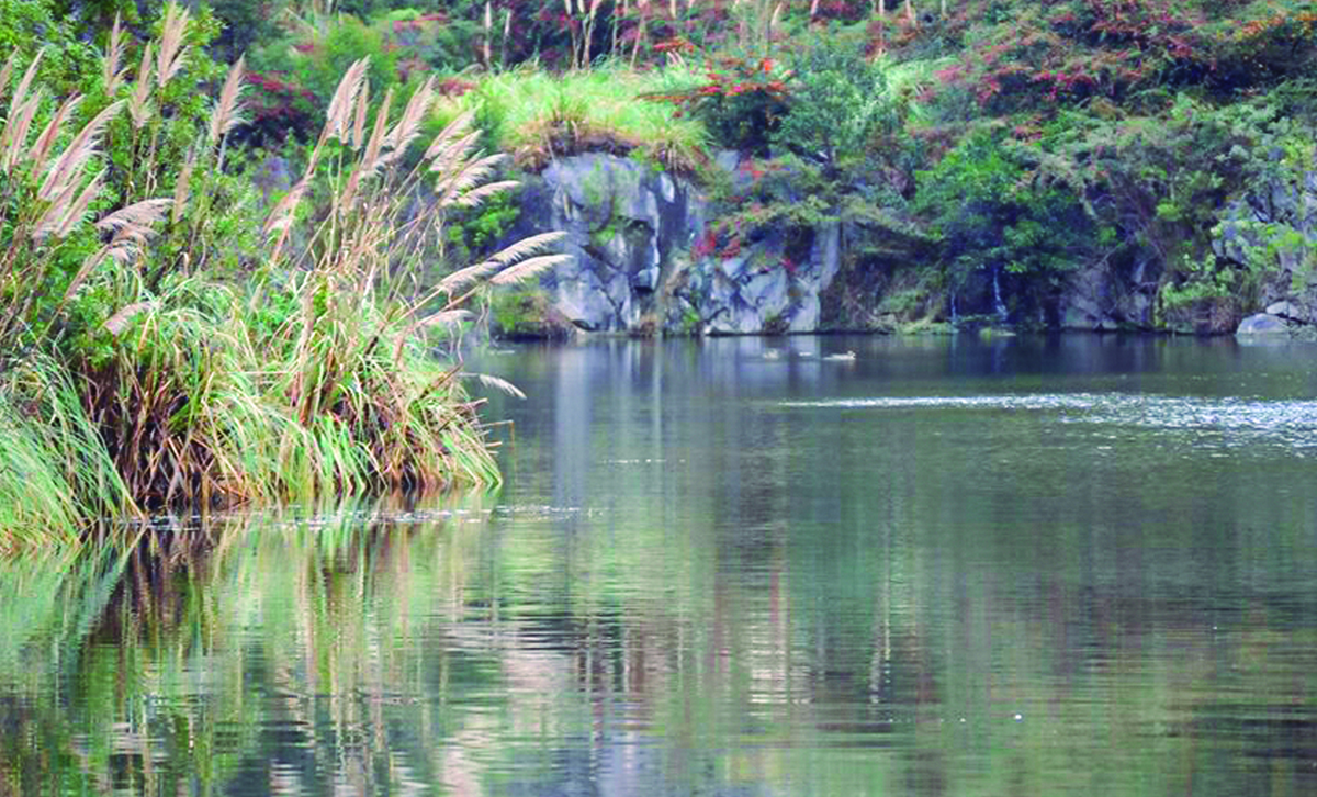 Reserva Natural de la Defensa La Calera [Foto: Argentina.gob.ar]
