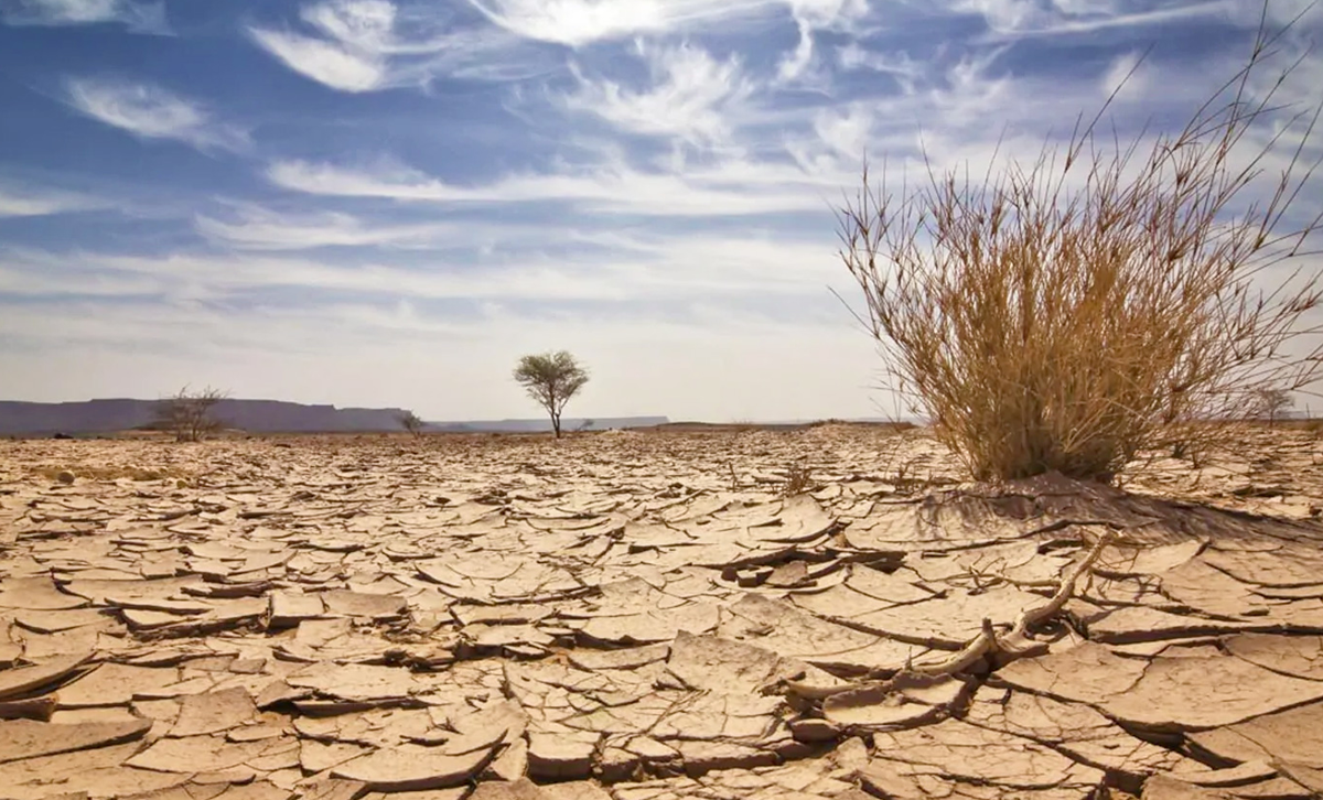 Desertificación [Foto: UBA Ciencia]