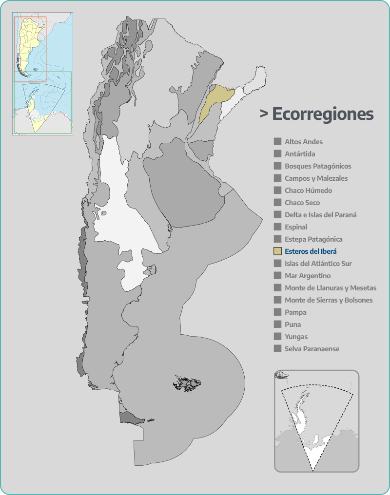 Esteros del Iberá