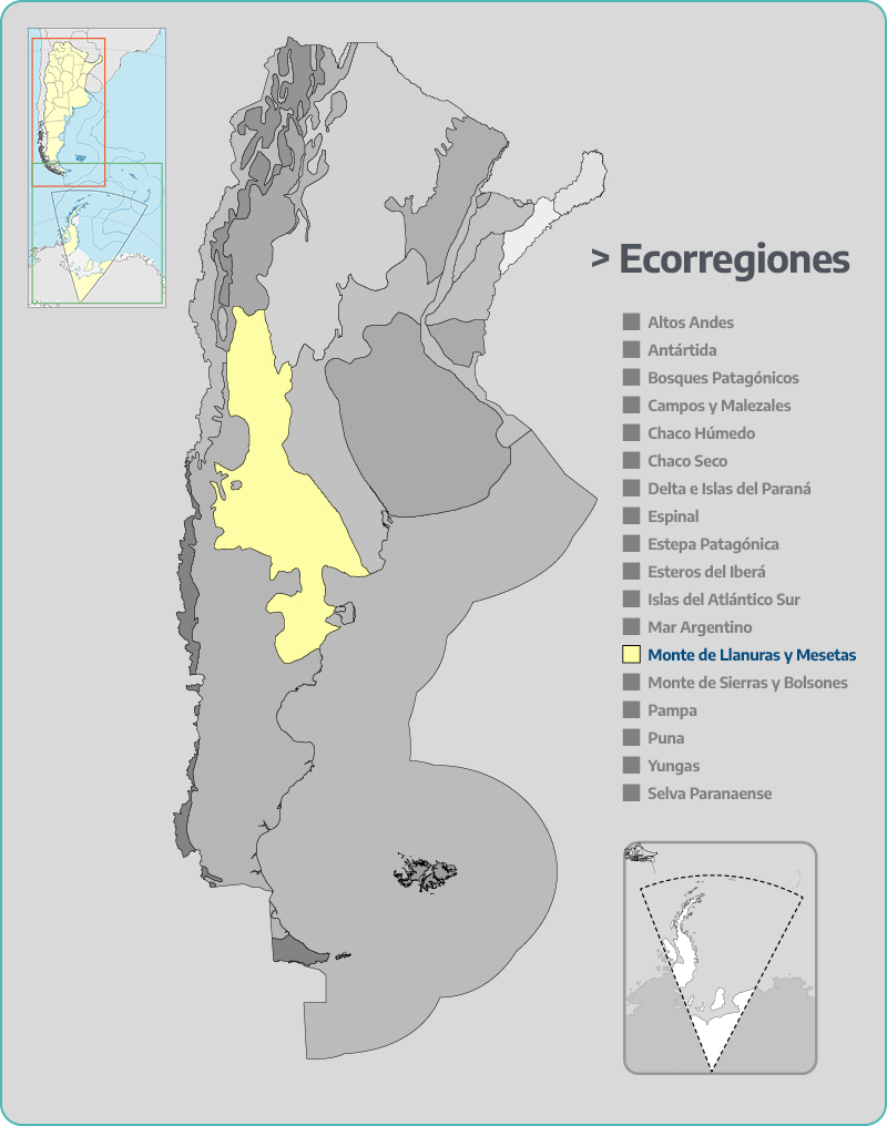 Monte de Llanuras y Mesetas