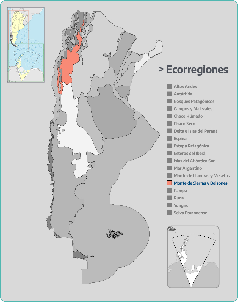 Monte de Sierras y Bolsones