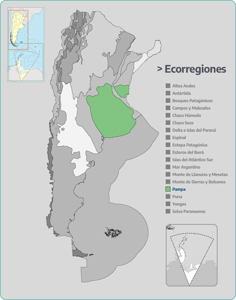 Pampa