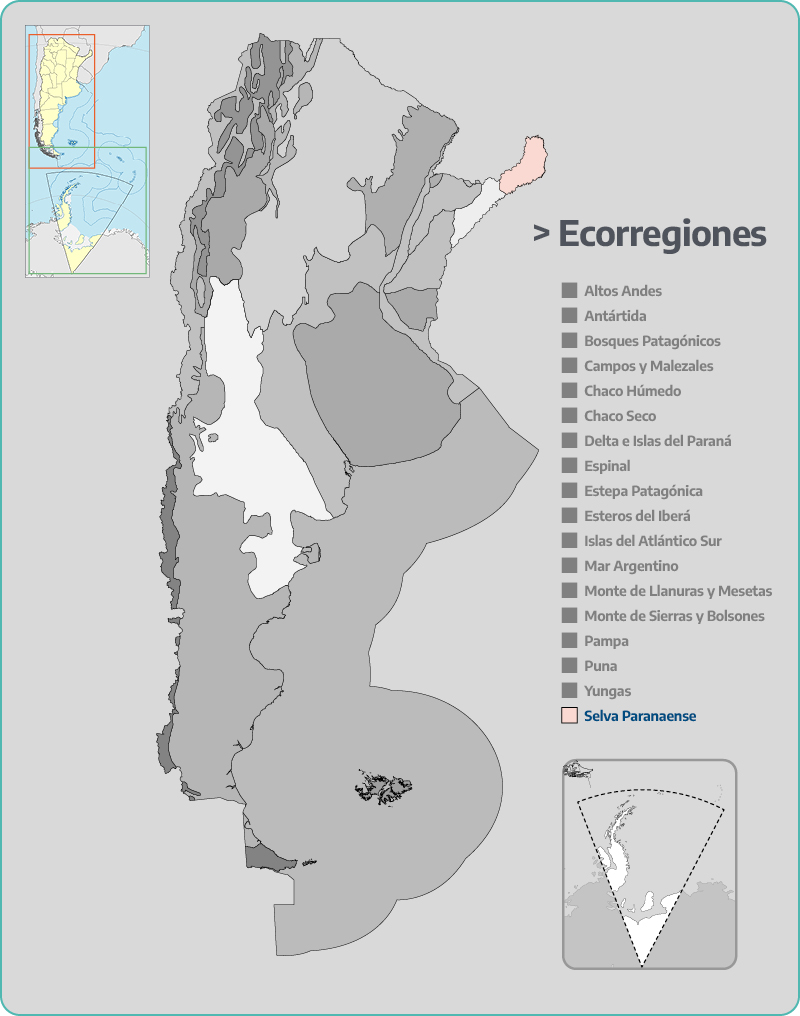 Selva Paranense