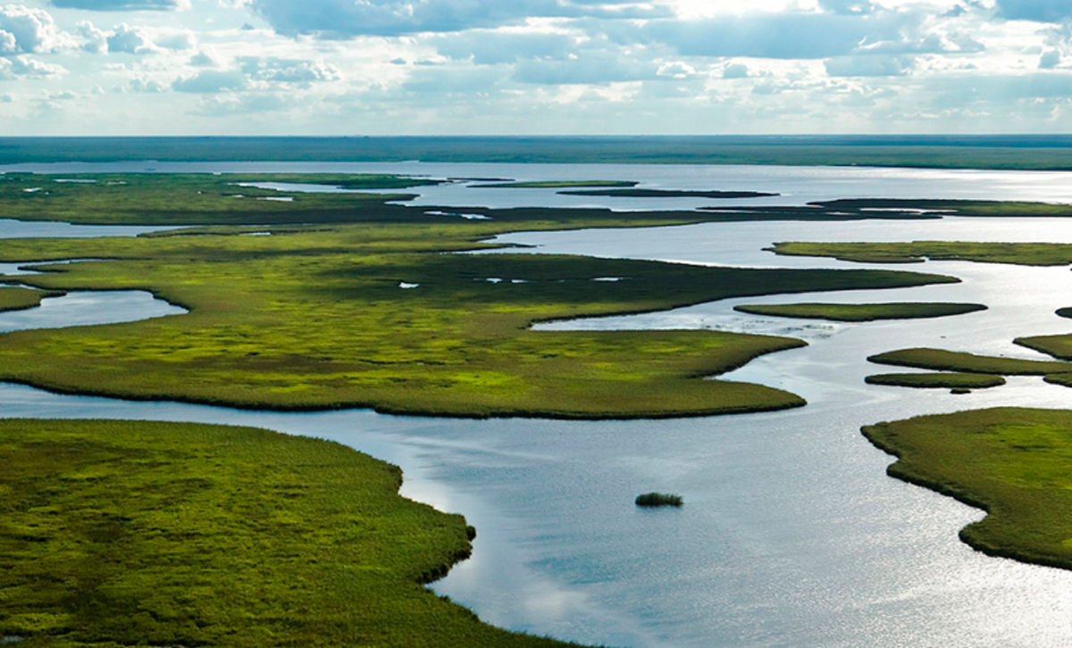 Delta e Islas del Paraná [Foto: Redacción Rosario]