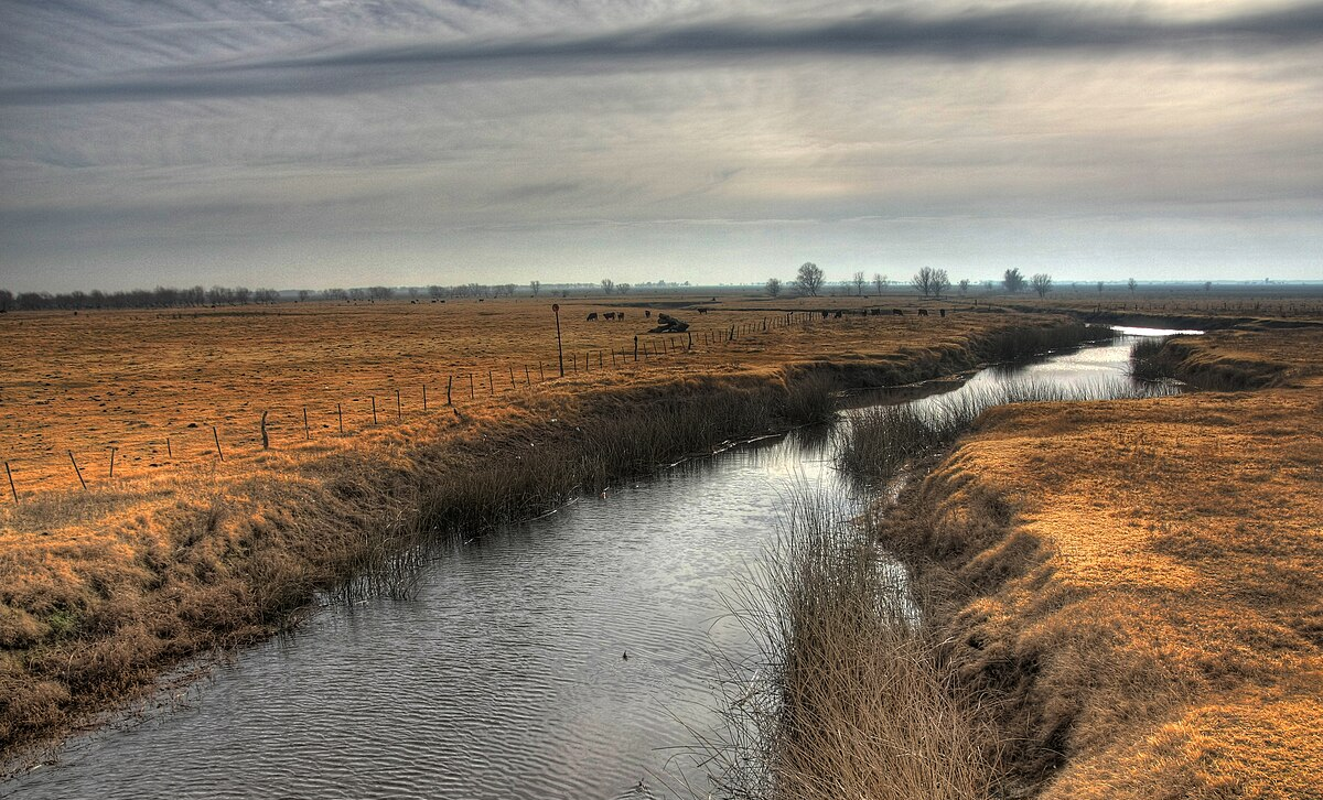 Pampa [Foto: Wikipedia]