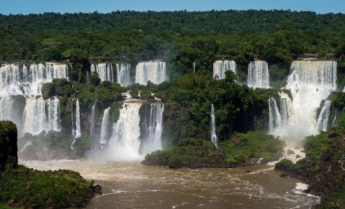 Selva Paranense II [Foto: Lifedery]