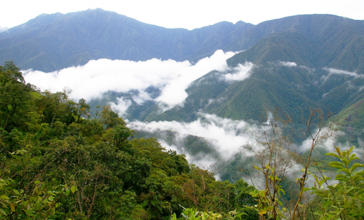 Yungas II [Foto: Billiken]