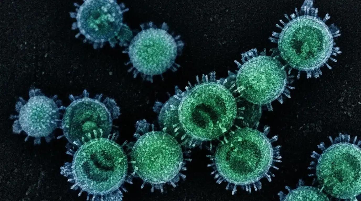 Recreación de partículas de hantavirus bajo microscopio electrónico. [Imagen: Nano Banana / Scruzcampillo]