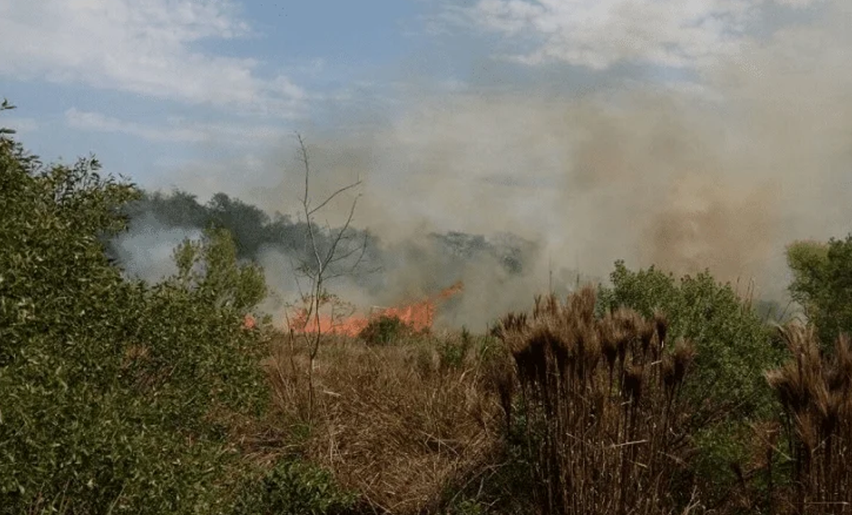 Incendio en la Reserva Natural Campo San Juan [Foto: Revelando Nuestras Regiones]