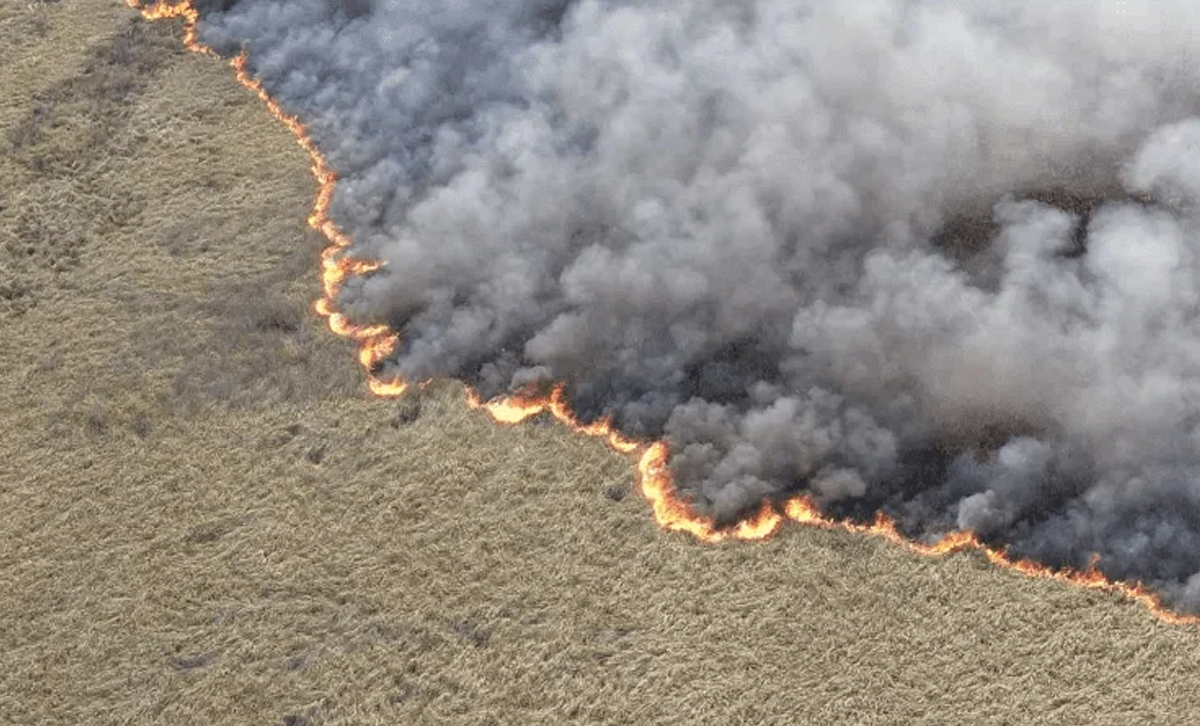 Incendio en el Parque Nacional Ciervo de los Pantanos. [Foto: Revelando Nuestras Regiones]