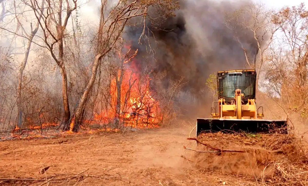 Trabajos para contener el fuego en el Chaco. [Foto: ÚltimaHora]