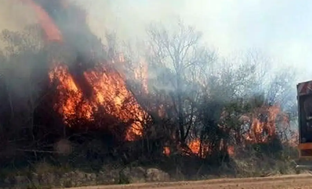 Incendios en los Esteros del Iberá [Foto: Perfil]