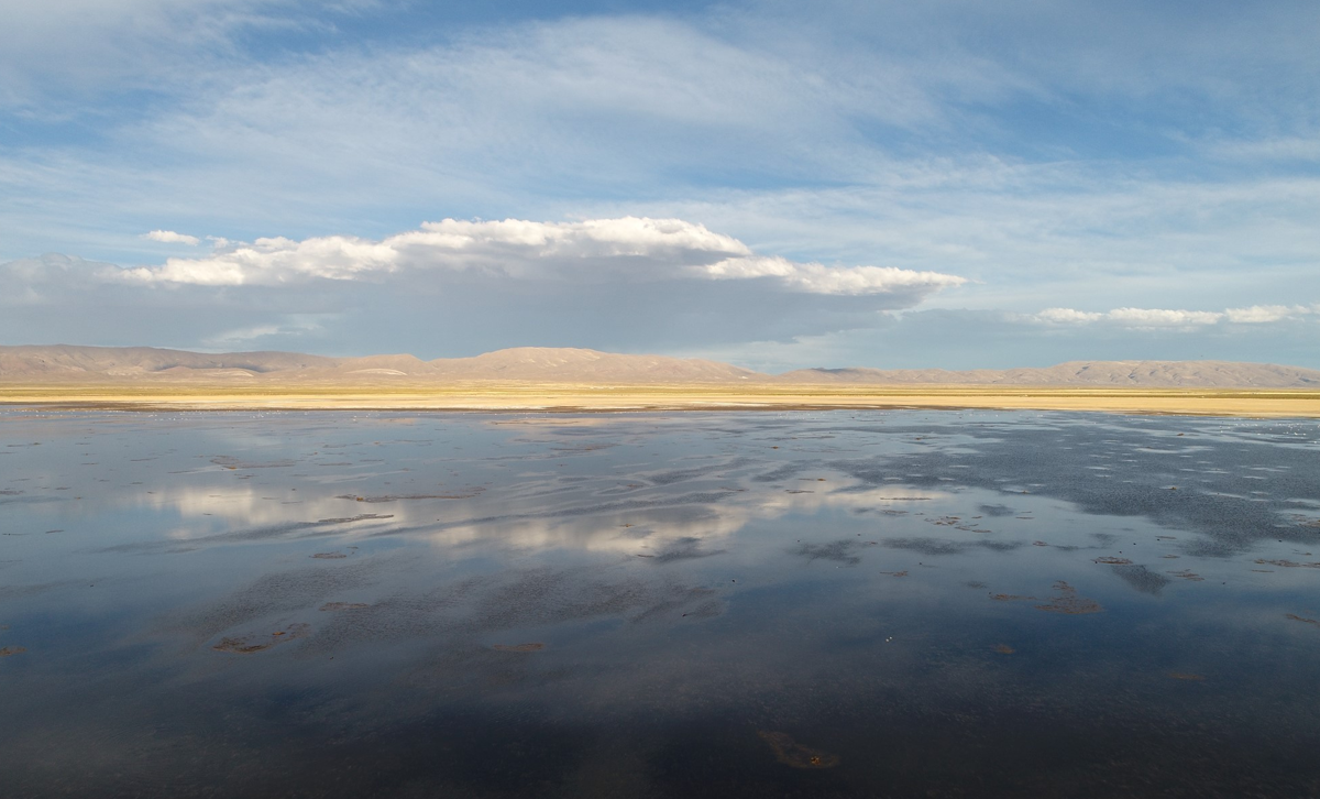 Laguna de los Pozuelos [Foto: Argentina.gob.ar]