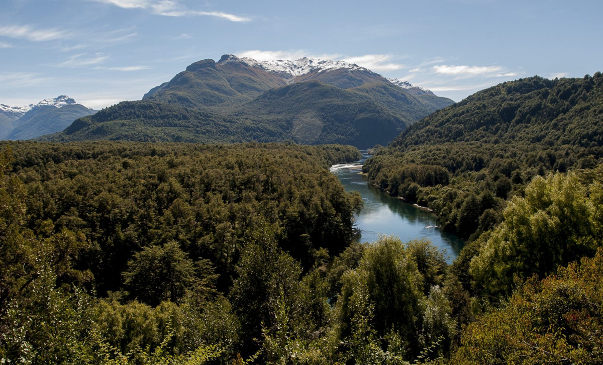 Parque Nacional Los Alerces [Foto: EFE:Verde]