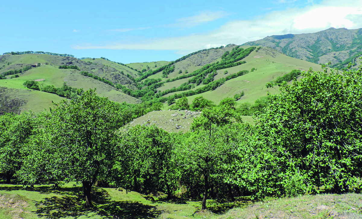 Reserva Natural de la Defensa El Mollar - Quebrada del Portugués [Foto: Argentina.gob.ar]
