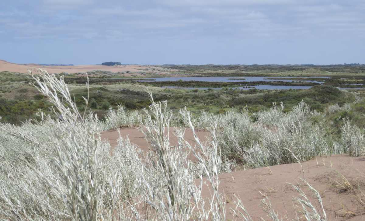 Pampa Austral [Foto: AMP Costera]
