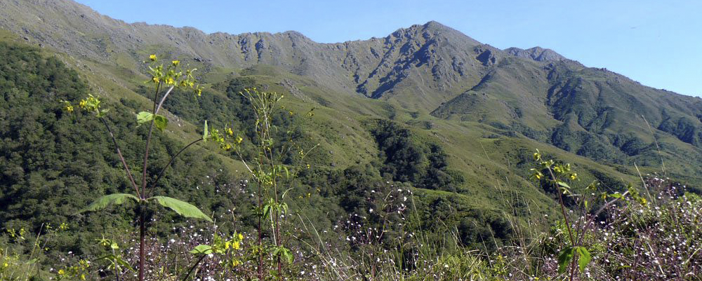 Reserva Nacional El Nogalar de Los Toldos. [Foto: Argentina.gob.ar]