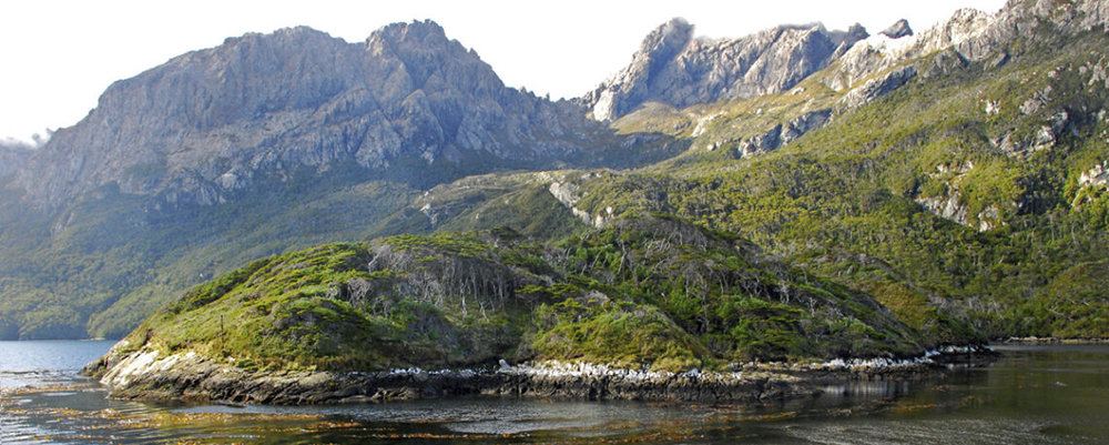Reserva Natural Silvestre Isla de los Estados